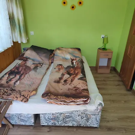 Iza-pokoje Do Wynajecia Wisełka